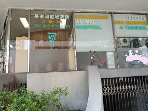 長者町動物病院