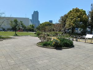 星野町公園