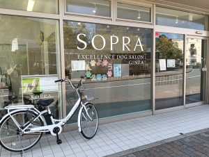 SOPRA